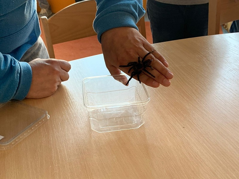 Read more about the article Spinnen & Skorpione zu Besuch im Hort „Am Regenstein“!